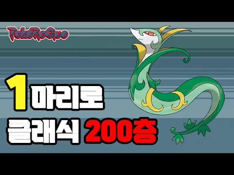2025년 푸른 뱀의해 포켓로그 <strong>샤로다</strong> 1마리로 클래식 200층깨기