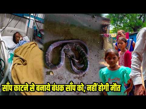 Tragic Incident: Snakebite leads to one death and one in hospital, snake held captive—what happen...