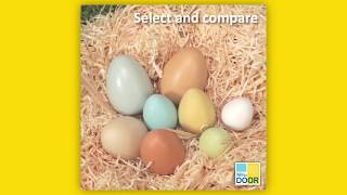 Size Sorting Eggs