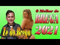 ZÉ DO BREGA O MELHOR DO BREGA 2021