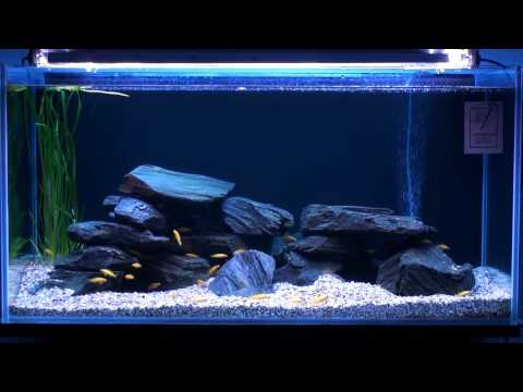 Hagen Marine Glo + Hagen Power Glo T5 www.zoolight.pl