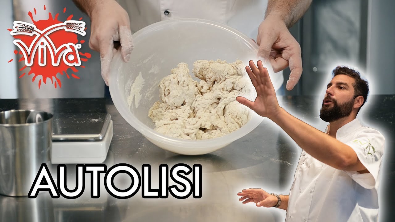 ViVa - Autolisi della farina