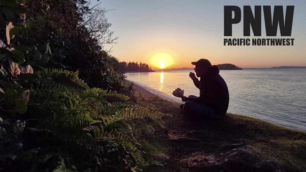 Getting Lost In America's Coastal Rainforest