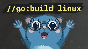 What are Build Tags and how can we leverage them in Go?