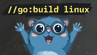 What are Build Tags and how can we leverage them in Go?
