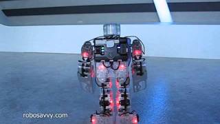 Robobuilder One Arm Handstand and Cartwheel with Fighting Grippers
