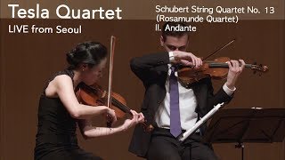 Tesla Quartet | Schubert String Quartet No. 13 Rosamunde II. Andante