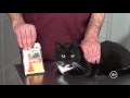 Как обработать кошку от блох и клещей: капли, ошейник, спрей. ВетСовет