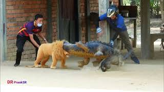 Double Fake Lion & Crocodile Prank Dog Must watch Funny Comedy Video - Try Not To Laugh