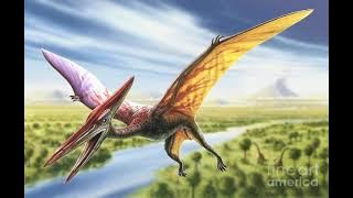 Pterodactyl Sound Effects 🦖 🔊