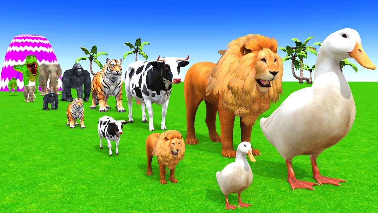 Long Slide Game With Cow Elephant Gorilla Hippopotamus Tiger 3d Animal Game Funny 3d Animals