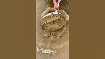 استخراج القواقع والذهب من الرمال 
