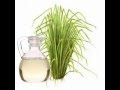 Vetiver Essential Oil