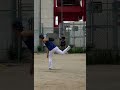 藤浪晋太郎選手の投げ方は、ハマれば球が速い。