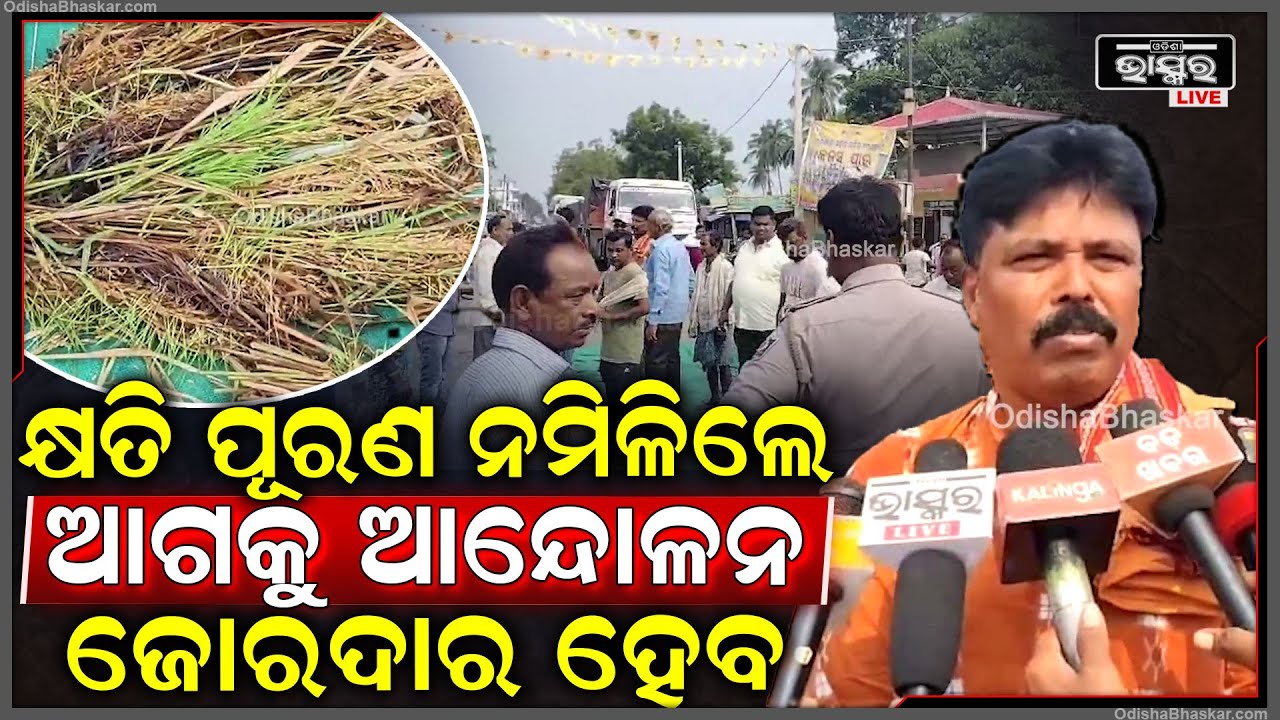 ଜିଲ୍ଲା ପ୍ରଶାସନର ପ୍ରତିଶୃତି ପରେ ଆନ୍ଦୋଳନରୁ ଉଠିଲେ କ୍ଷତିପୁରଣ ଦାବିରେ ବସିଥିବା ଚାଷୀ