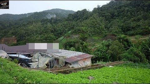 Chuyện tâm linh có thật - Những câu chuyện rùng rợn xung quanh ngôi miếu cổ - Phần 1