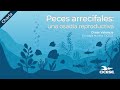 Charla: Peces arrecifales una osadía submarina