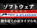 【パランティアに続け】このソフトウェア銘柄も見逃すな!!!