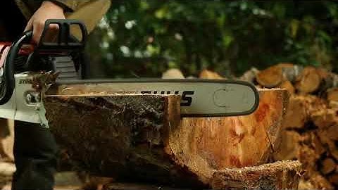 He Cuts Natural Edge Bowl Blanks With A Chainsaw