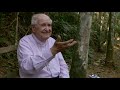 Dom Mauro Morelli | Meditação sobre o Sínodo da Amazônia (parte 2)