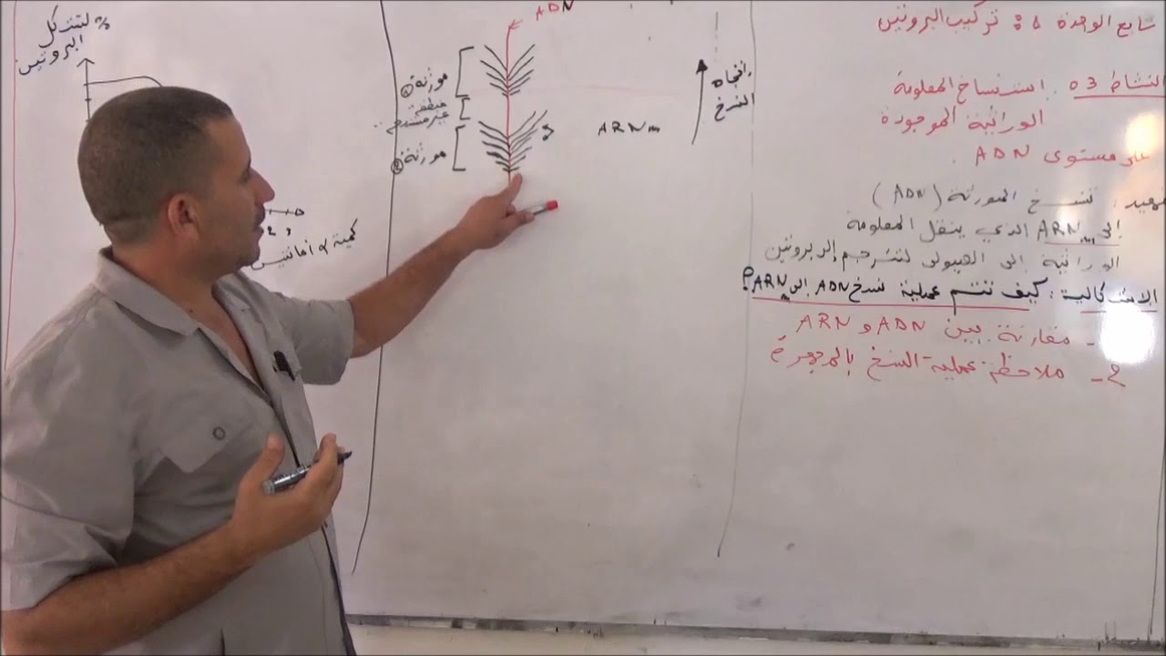 المجال 1 الوحدة 1 تركيب البروتين الجزء 3