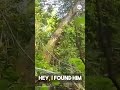 K-9 finds 'missing and endangered' 96-year-old man in woods