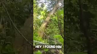 K-9 finds 'missing and endangered' 96-year-old man in woods