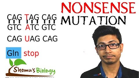 Nonsense mutation