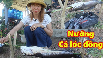 Cá lóc đồng nướng than chưa bao giờ làm bạn thất vọng | TPMM #28
