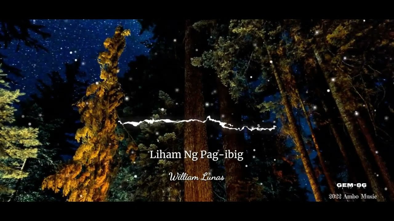 William Lunas   Liham Ng Pag ibig Official Lyric Video