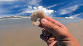 How to salt your shrimp for surf fishing- New Rod Combos