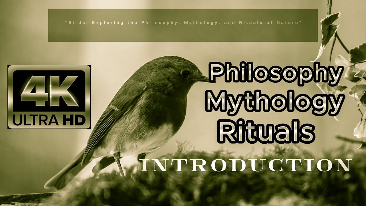 "Birds Revealed: The Hidden Wisdom, Symbolism and Rituals of Nature's Enigmatic Creatures" - Intro