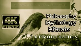 "Birds Revealed: The Hidden Wisdom, Symbolism and Rituals of Nature's Enigmatic Creatures" - Intro