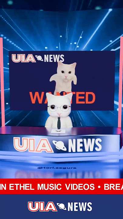 UIA News | Mysterious cat apperead in OIIA music videos
