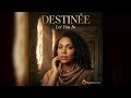 Destinee: Let You In: Available now on HypeTunes!