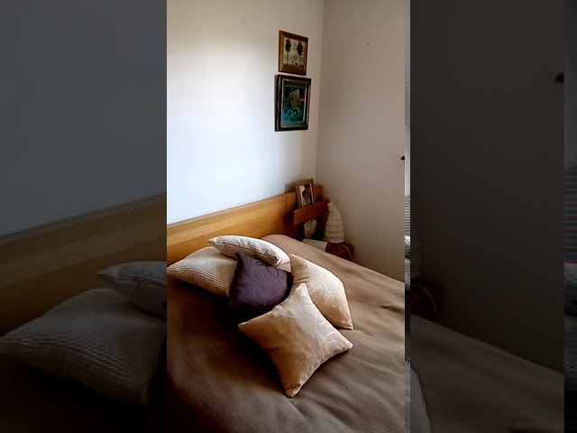 Video 1: Bedroom with a garden view