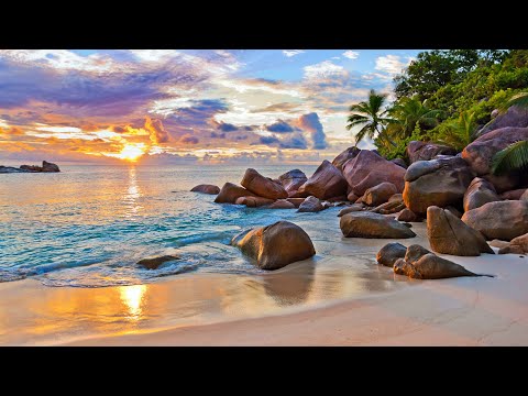 Убежище в Индийском океане / The Sanctuary of the Indian Ocean | 4K |