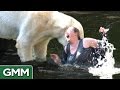 5 Dumbest Zoo Animal Encounters