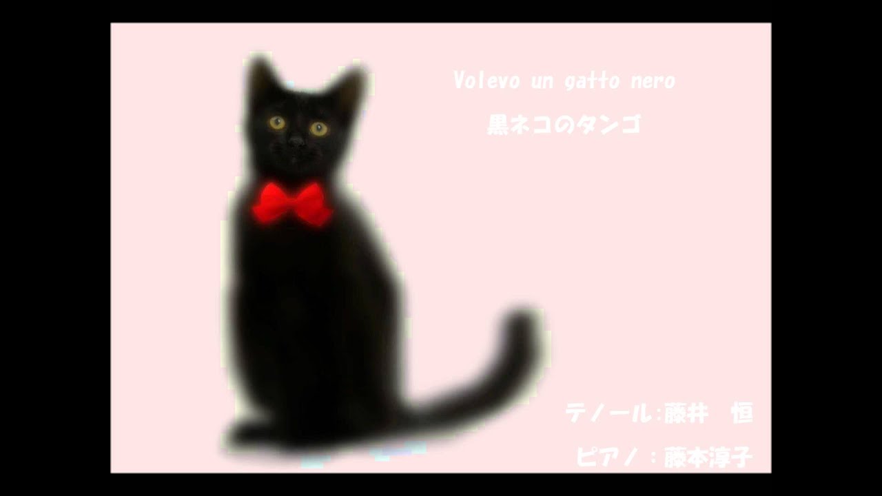 Volevo Un Gatto Nero 黒ネコのタンゴ Youtube