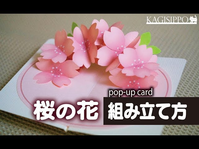 さくらの花のカード ポップアップカード Pop Up Card By Kagisippo