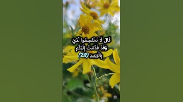 قال قرينه ربنا ما أطغيته ولكن كان في ضلال بعيد | تلاوة مؤثرة تهز القلوب|القارئ حسن صالح