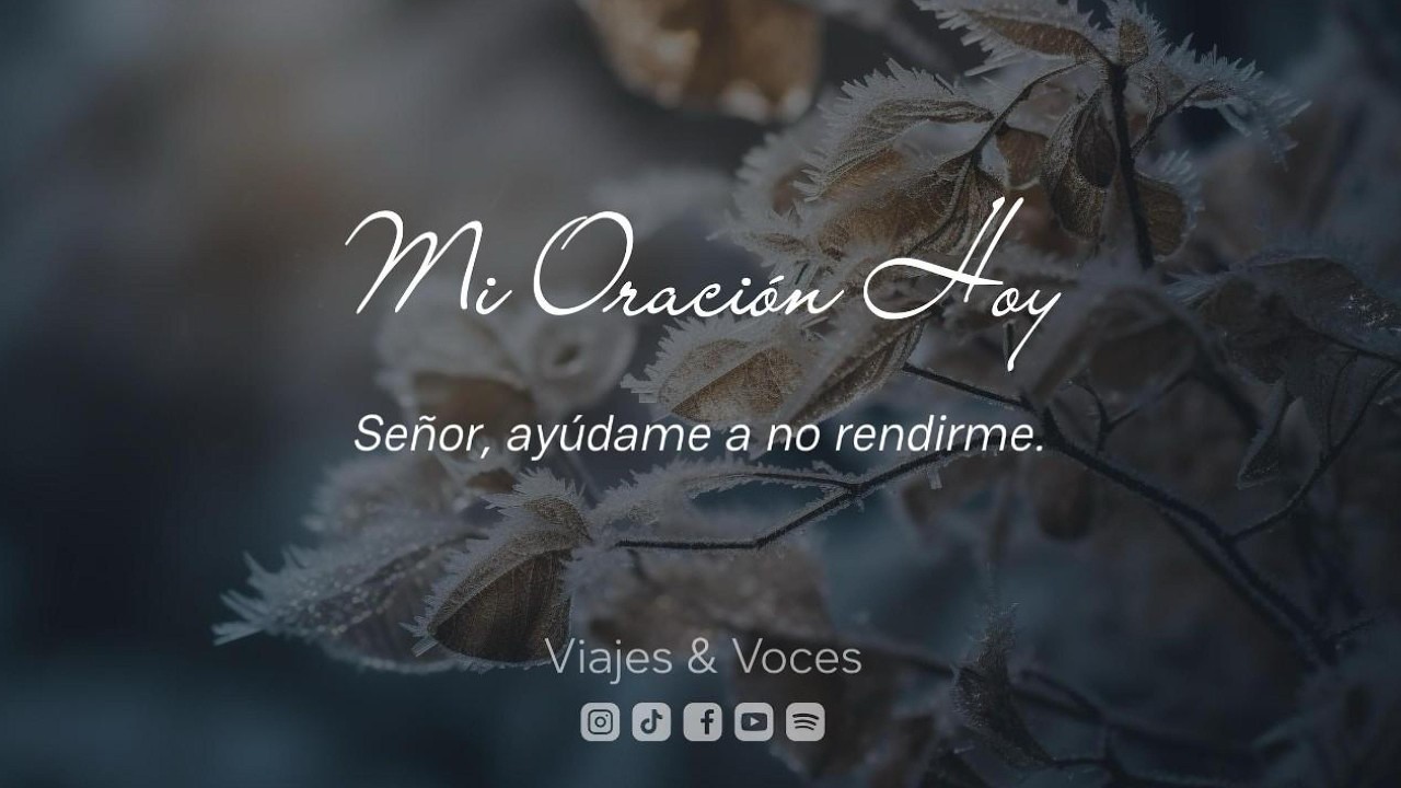 Señor, ayúdame a no rendirme. | Mi Oración Hoy