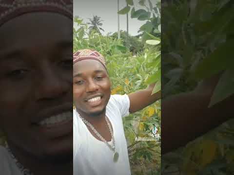 KAMA ULIKUA UJUI MBAZI BHASI TAZAMA HAPA HII DAWA