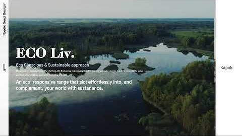 Create smooth page transitions on website