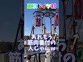兄弟で最高記録出したと思ったらプロのソロプレイヤーいた… #shorts #アトラクション #スーパースインガー #東京ドイツ村 #春休み #家族