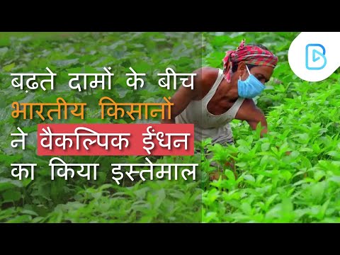 वैकल्पिक ईंधन का उपयोग | Hindi News | Agriculture News