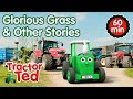 Glorious Grass & Other Tractor Ted Stories 🚜 | Tractor Ted Compilation | Tractor Ted Official