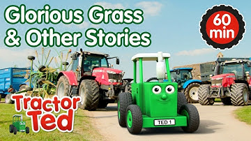 Glorious Grass & Other Tractor Ted Stories 🚜 | Tractor Ted Compilation | Tractor Ted Official