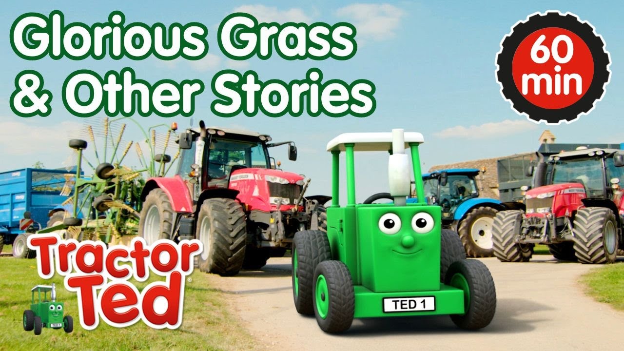 Glorious Grass & Other Tractor Ted Stories 🚜 | Tractor Ted Compilation | Tractor Ted Official