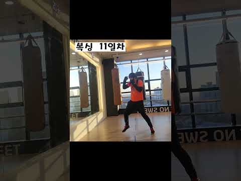 복싱 11일차 #shorts